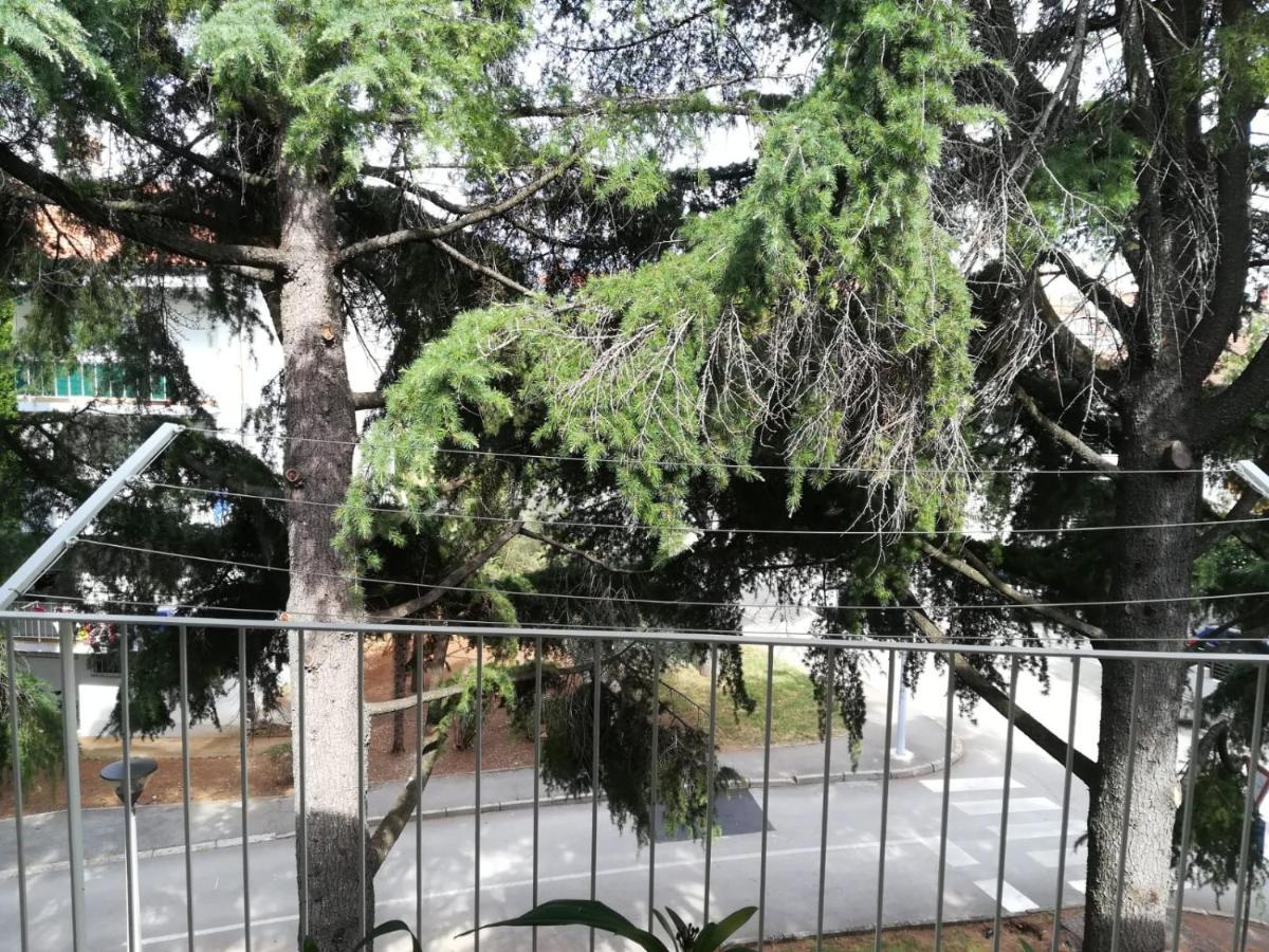 Apartment Bono بوريتش المظهر الخارجي الصورة